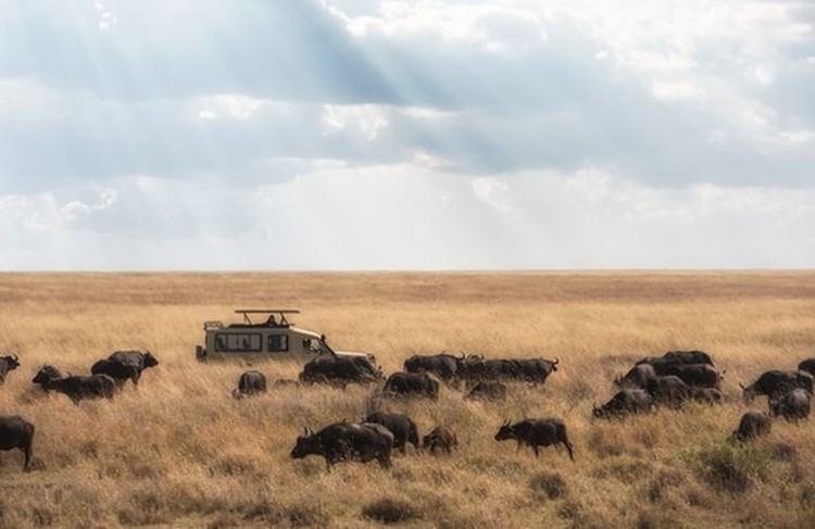 photo of Arusha, Tarangire, Lake Manyara, Serengeti and Ngorongoro Crater