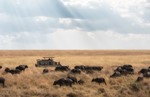 thumbnail of Arusha, Tarangire, Lake Manyara, Serengeti and Ngorongoro Crater