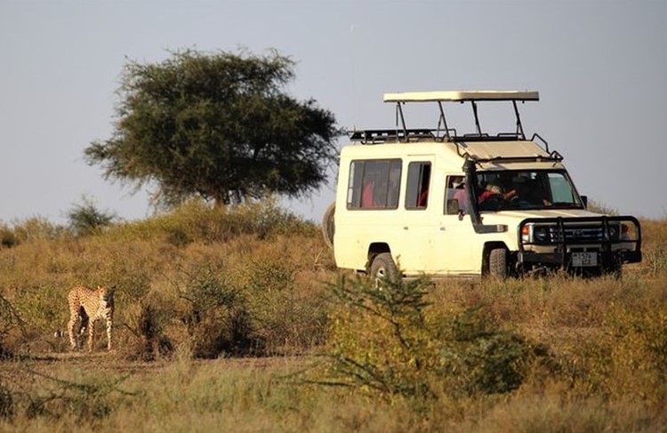 photo of Arusha, Tarangire, Lake Manyara, Serengeti and Ngorongoro Crater