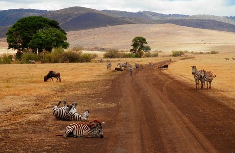 photo of Explore Tanzania 