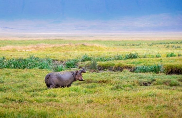 photo of Tanzania Highlights