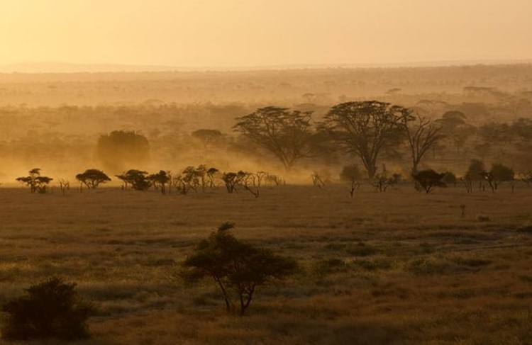 photo of Tanzania Highlights