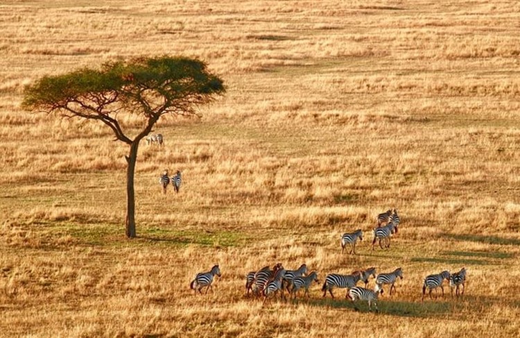 photo of Tanzania Highlights